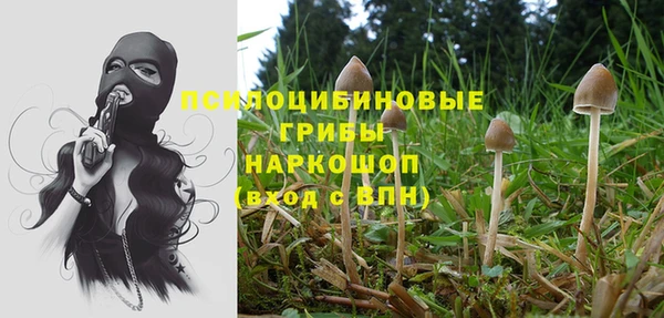 амф Алексеевка