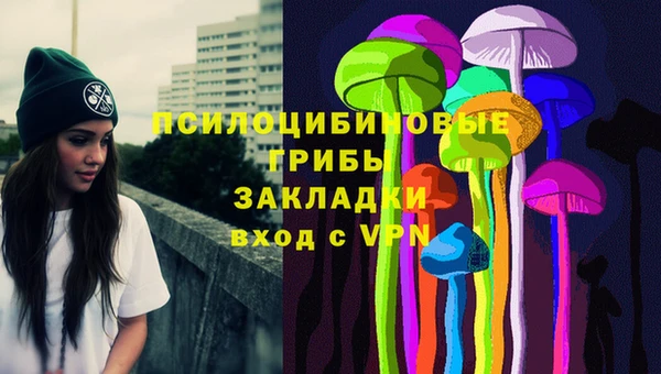 шишки Алзамай
