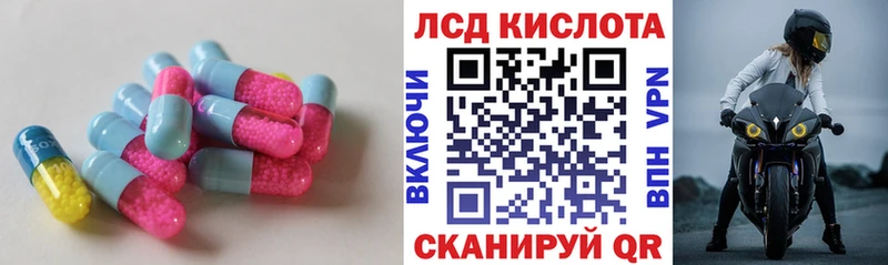 Лсд 25 экстази ecstasy  Магадан 