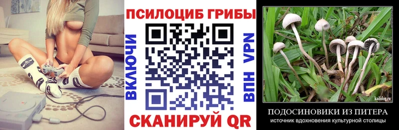 Псилоцибиновые грибы Psilocybine cubensis  Магадан 