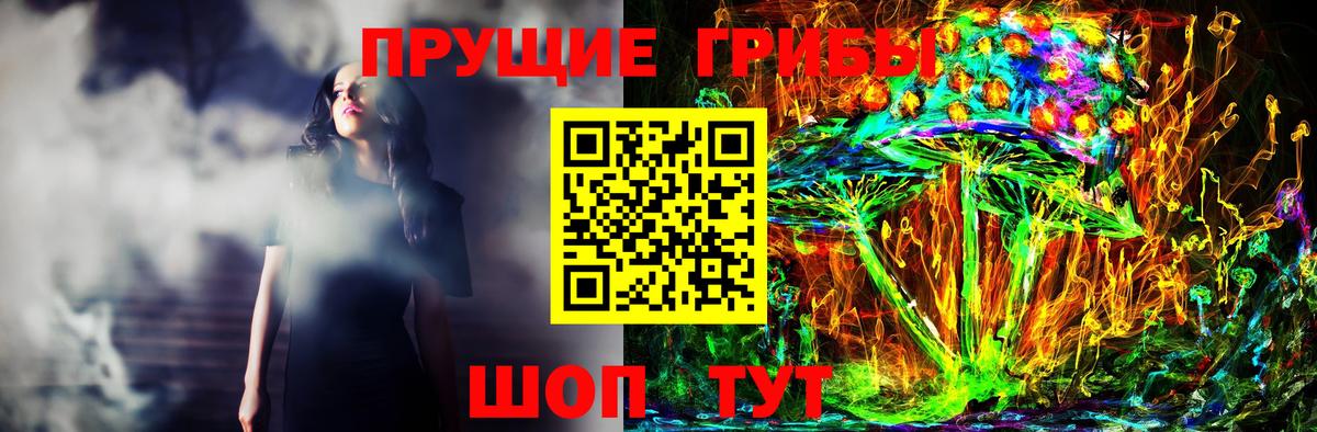 Псилоцибиновые грибы Psilocybe  дарнет шоп  Магадан  Вход с VPN  Галлюциногенные грибы GOLDEN TEACHER 