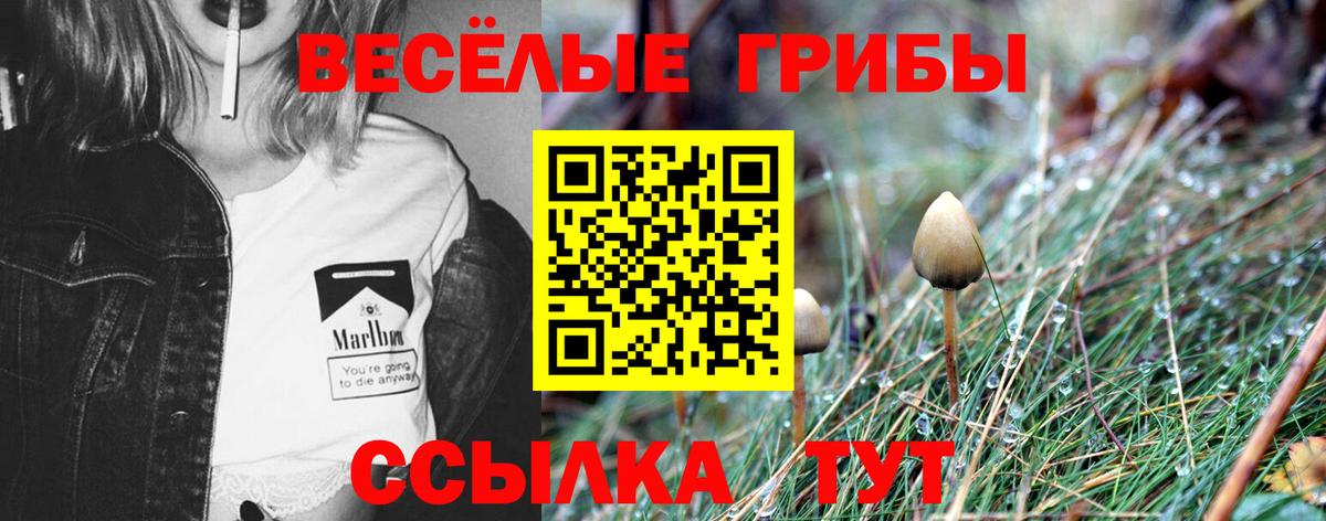 Псилоцибиновые грибы мицелий Магадан