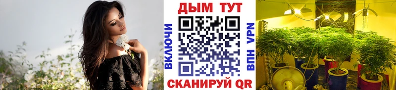 Бошки марихуана ГИДРОПОН  Магадан 
